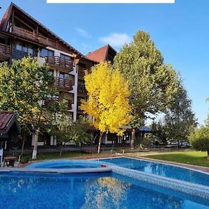 Apartament z 1 sypialnią